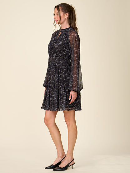 Mock Neck Printed Mesh Dress
