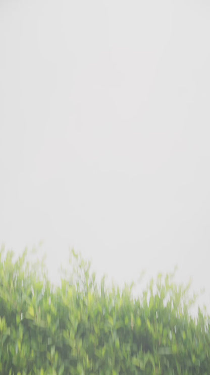 Stripe Linen Skort